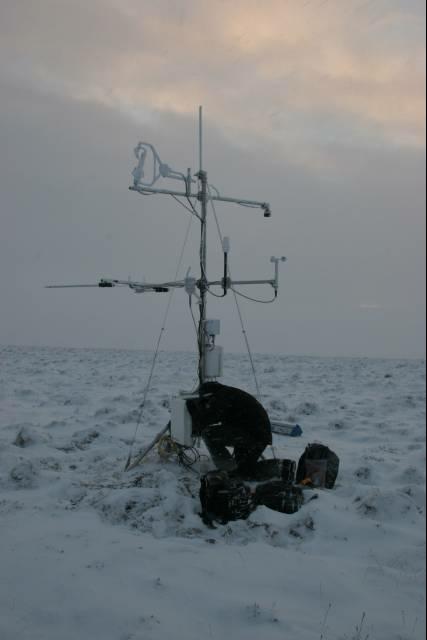 rhs23382