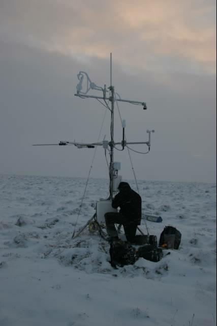 rhs23383