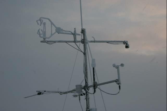 rhs23388