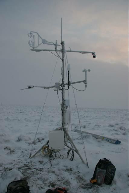 rhs23389