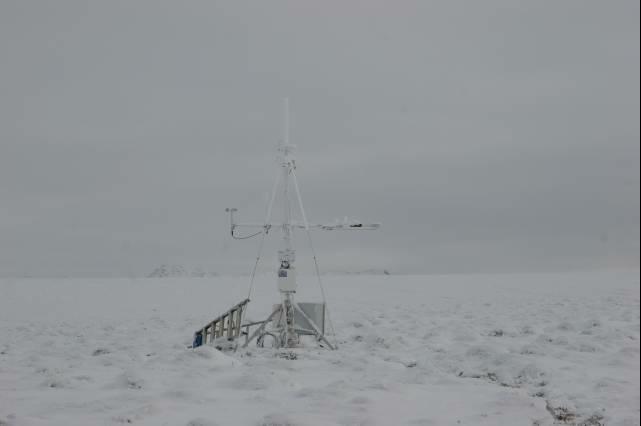 rhs23392