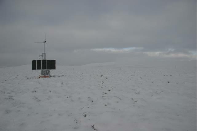 rhs23399