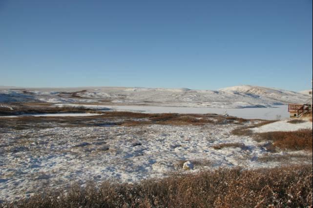 rhs23465