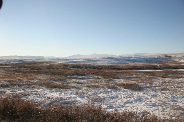 rhs23468