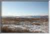 rhs23467