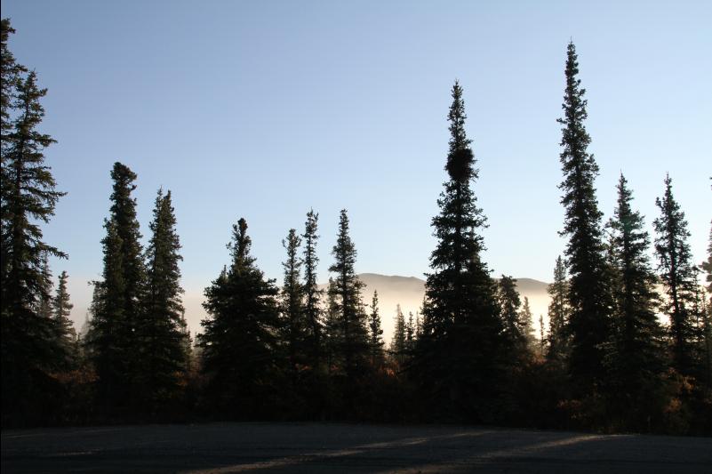 rs_34364