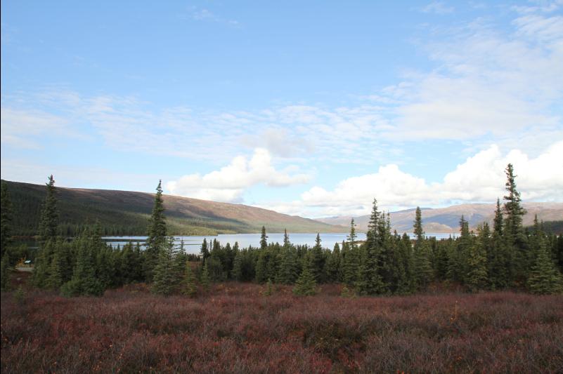 rs_34439