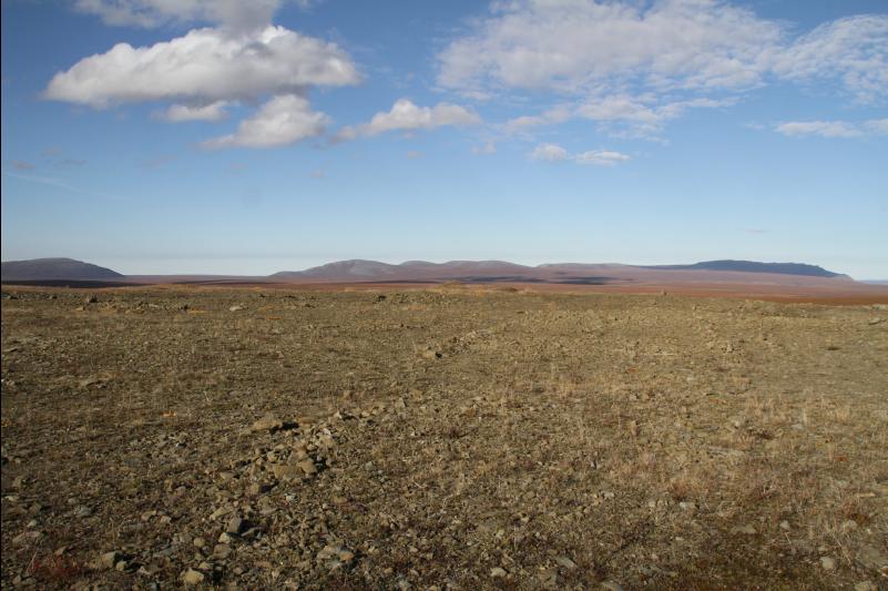 rs_34202