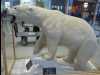 P1000541 polar bear at FBX airport