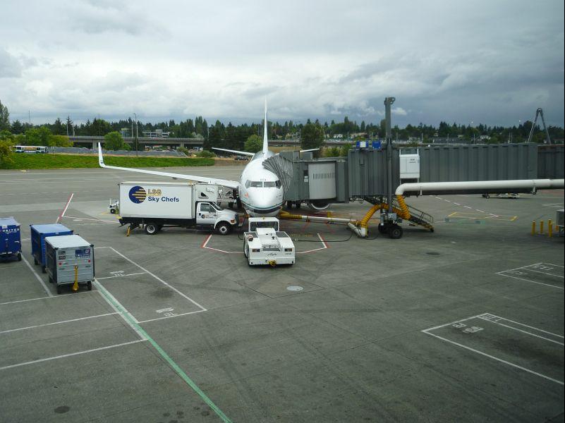 P1000810