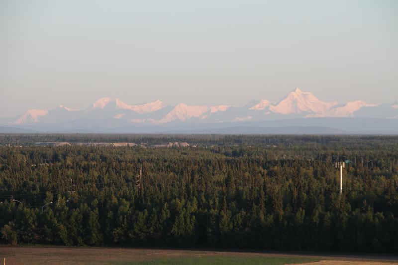 RS_41262