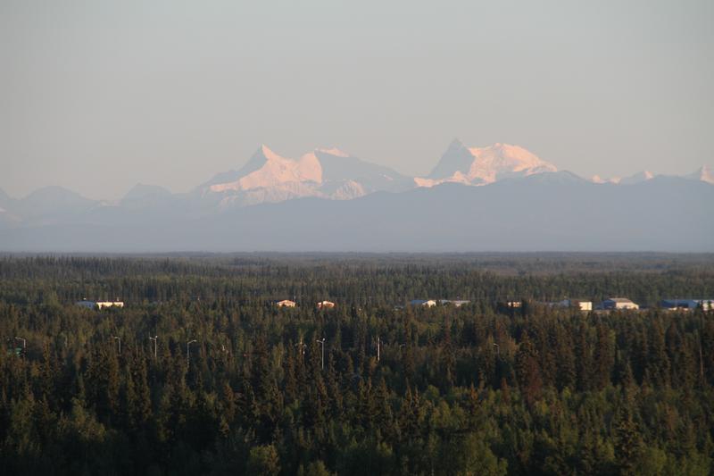 RS_41263