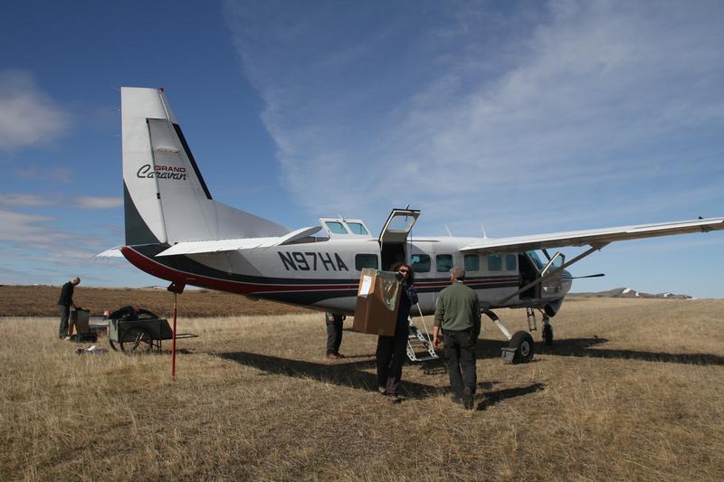 RS_42222