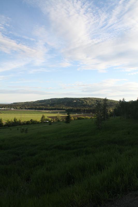 RS_42491