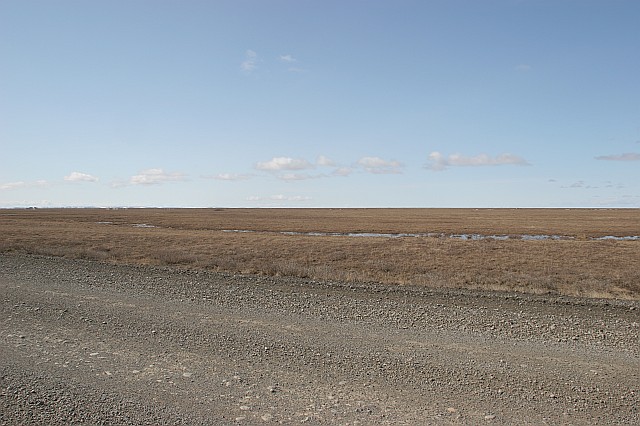 rhs24223