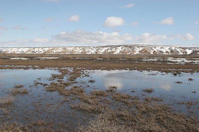 rhs24225