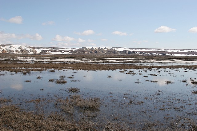 rhs24226