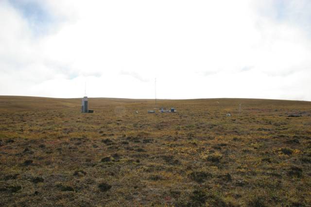 rhs23152