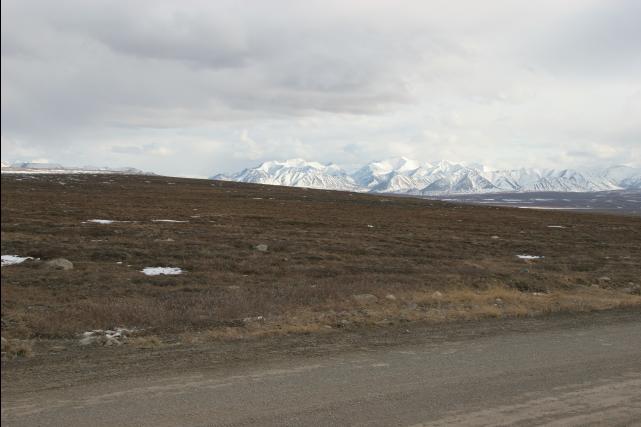 rhs24117