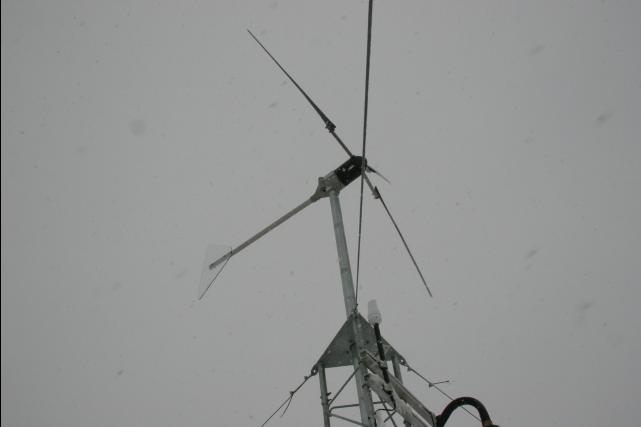 rhs24135