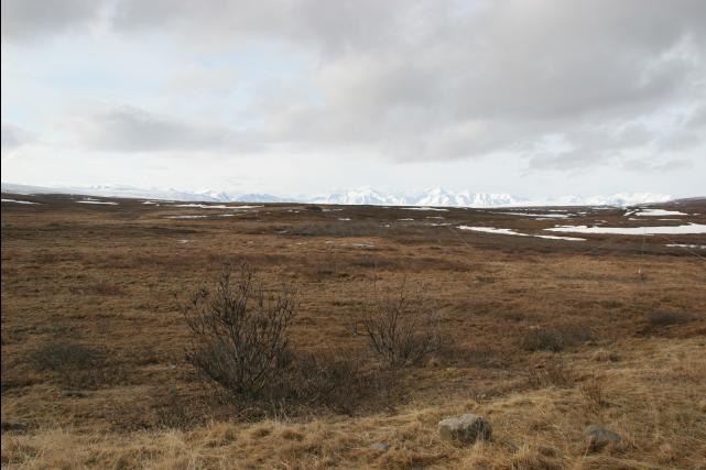 rhs24153