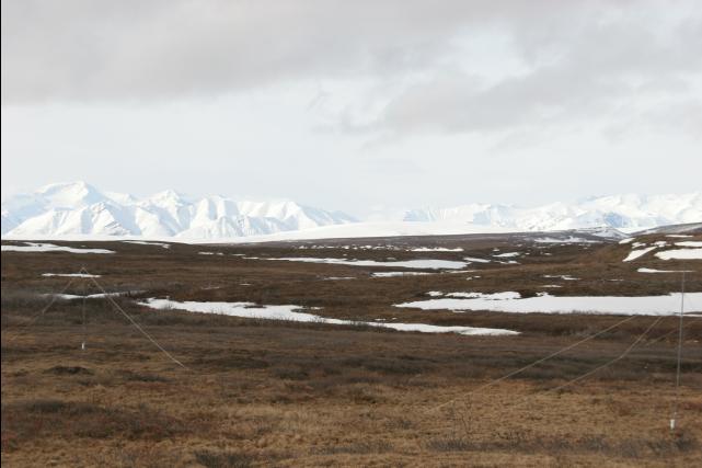 rhs24157