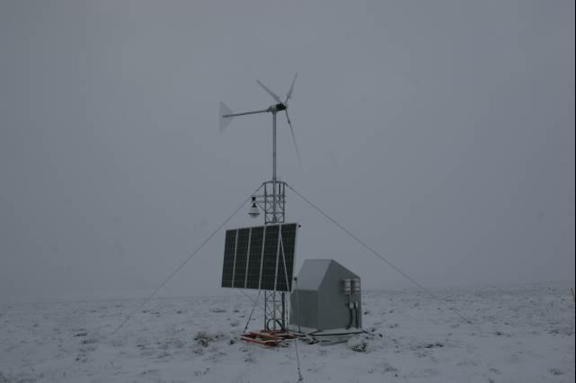 rhs23362