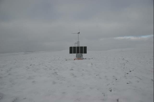 rhs23398