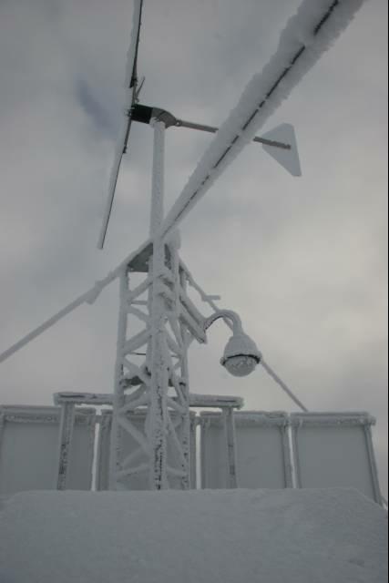 rhs23417