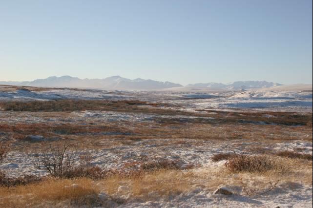 rhs23462