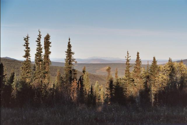 ak039r08_28
