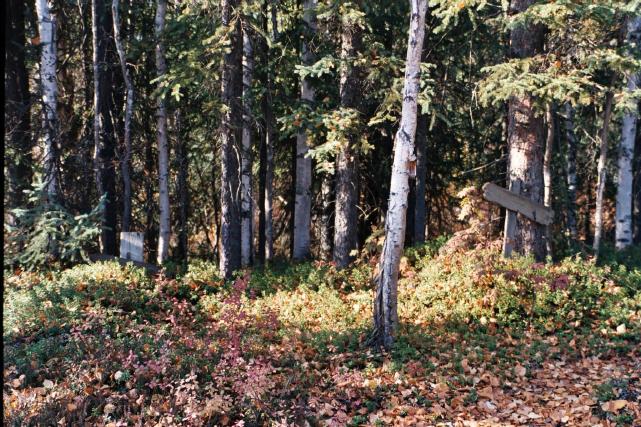 ak039r09_25