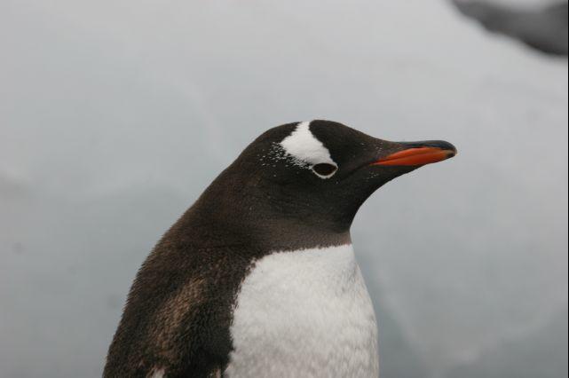 IMG_7598