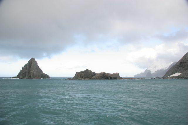 IMG_6950