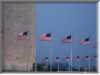 Inaug115