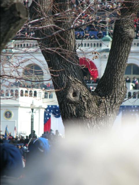 Inaug315