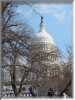 Inaug321