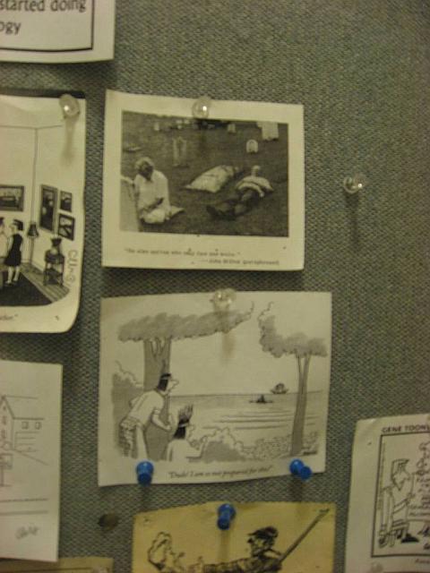 Inaug535