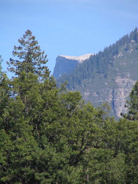 IMG_9290